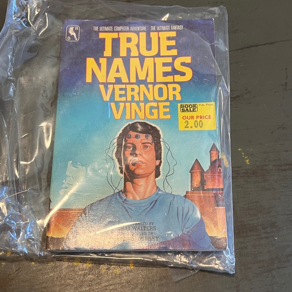 True Names Vernor Vinge 1984 Bluejay Illustrated Edition Cyberpunk Sci-Fi Book